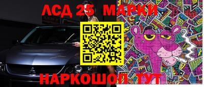 гашик Кингисепп
