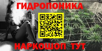 крисы Кинель