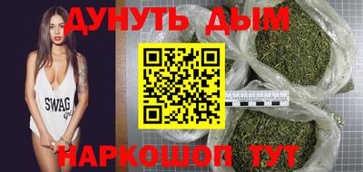 гашик Кингисепп