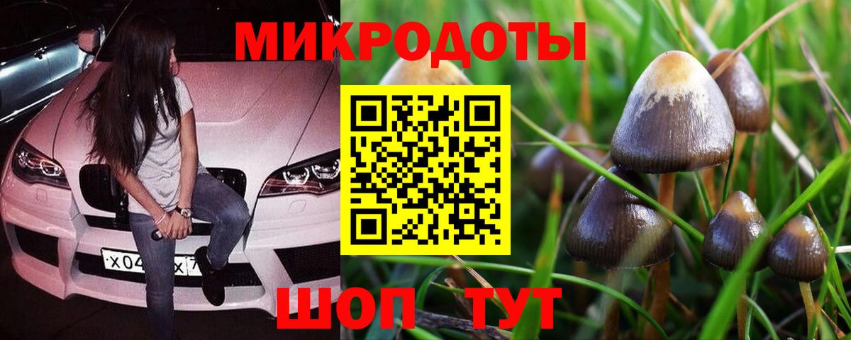 Галлюциногенные грибы Magic Shrooms Красноармейск