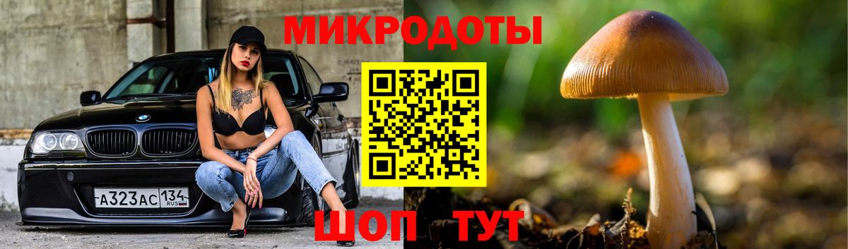 Красноармейск  Галлюциногенные грибы Cubensis  Вход с VPN 